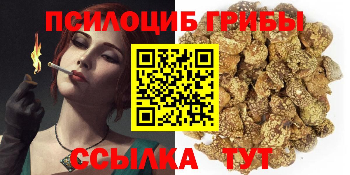 Псилоцибиновые грибы прущие грибы  Вход с VPN  Балашов 