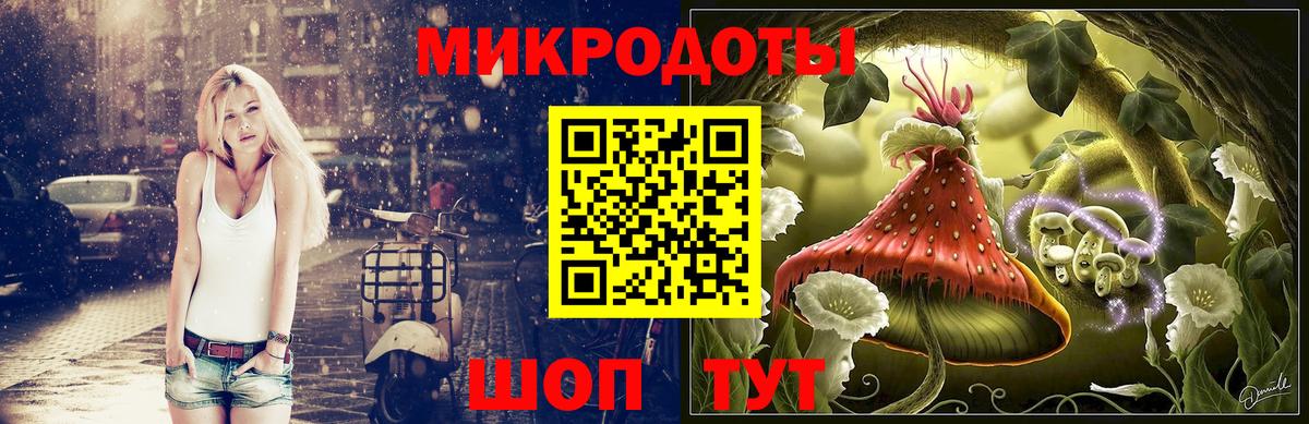 Псилоцибиновые грибы мицелий Балашов
